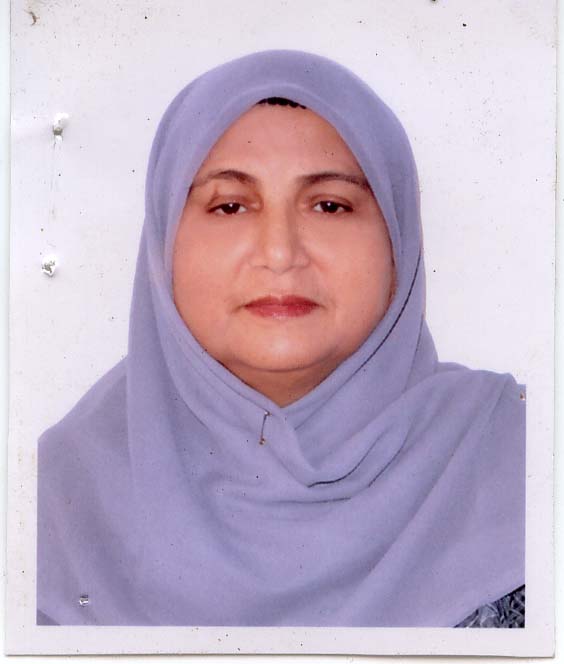 Professor Dr. Tajmeri S. A. Islam