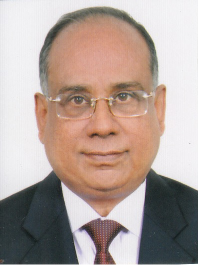 Professor Dr. Rafiqul Islam