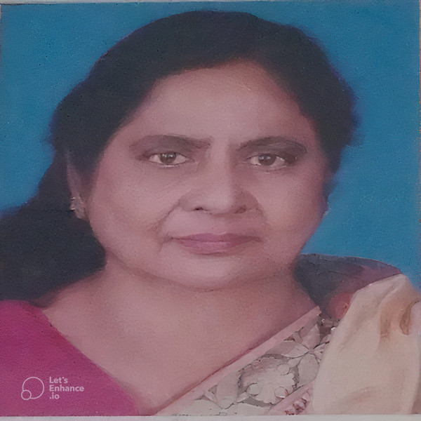 Provost