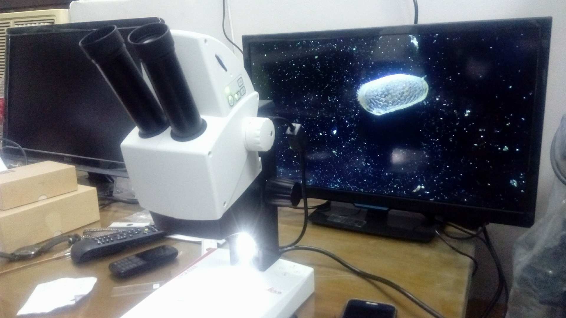 No Image Found